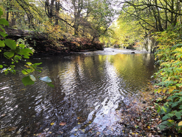River Irwell near Nutall Park.? 
17-Buildings and the Urban Environment-05-Street Scenes-019-Nuttall area
Keywords: 2018