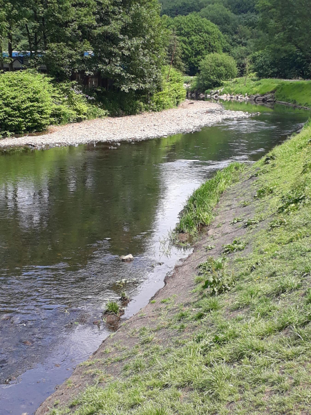 Flood defence on River Irewell Nuttall Park
14-Leisure-01-Parks and Gardens-001-Nuttall Park General
Keywords: 2018