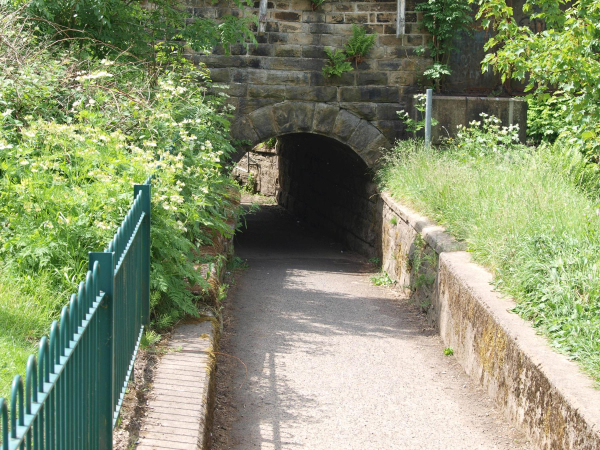 Tunnell from Nuttall Park to Cormar Carpets
14-Leisure-01-Parks and Gardens-001-Nuttall Park General
Keywords: 2018