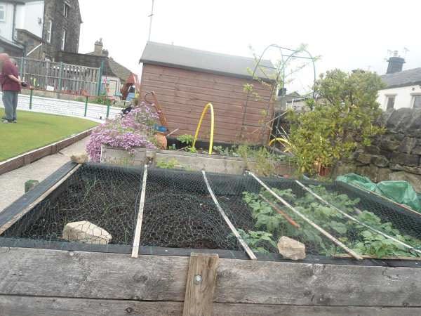 Allotment at Buchanan Sports & Social Club
14-Leisure-05-Pubs-035-Buchanan Sports and Social Club
Keywords: 2018