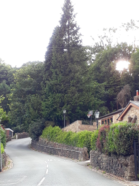 Bottom of Rake 
17-Buildings and the Urban Environment-05-Street Scenes-006-Carr Street and Tanners area
Keywords: 2018