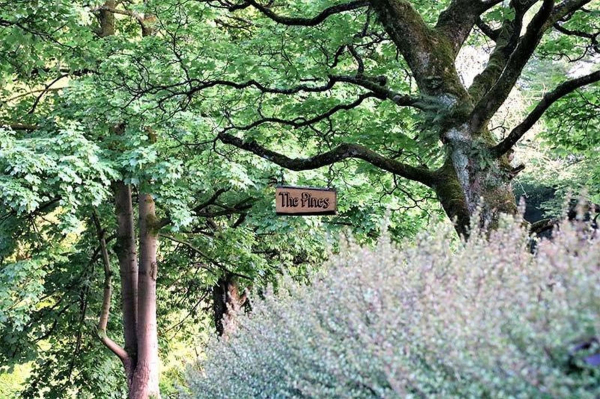 The Pines in Summerseat 
17-Buildings and the Urban Environment-05-Street Scenes-028-Summerseat Area
Keywords: 2018