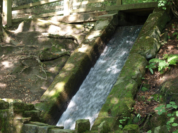 Water Fall Nuttall Park
14-Leisure-01-Parks and Gardens-001-Nuttall Park General
Keywords: 2019