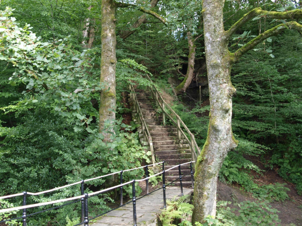 Jacob's Ladder
14-Leisure-01-Parks and Gardens-001-Nuttall Park General
Keywords: 2019