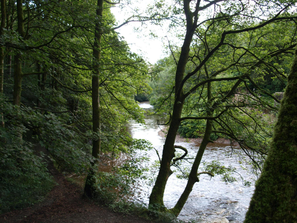 River Irwell Nuttall Park
14-Leisure-01-Parks and Gardens-001-Nuttall Park General
Keywords: 2019