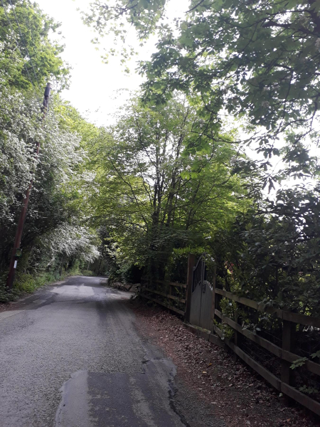 Nuttall Hall Road from Nuttall Park
14-Leisure-01-Parks and Gardens-001-Nuttall Park General
Keywords: 2019