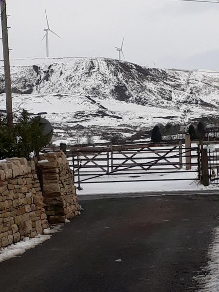 Bleakholt Animal Sanctuary in snow
19-Animals and Plants-01-General-001-Bleakholt Animal Sanctuary
Keywords: 2019