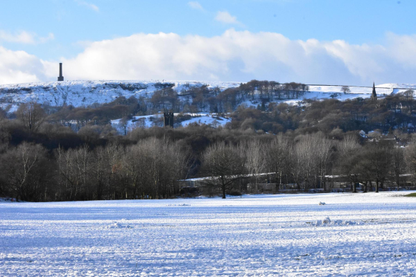 Nuttall Park
14-Leisure-01-Parks and Gardens-001-Nuttall Park General
Keywords: 2019