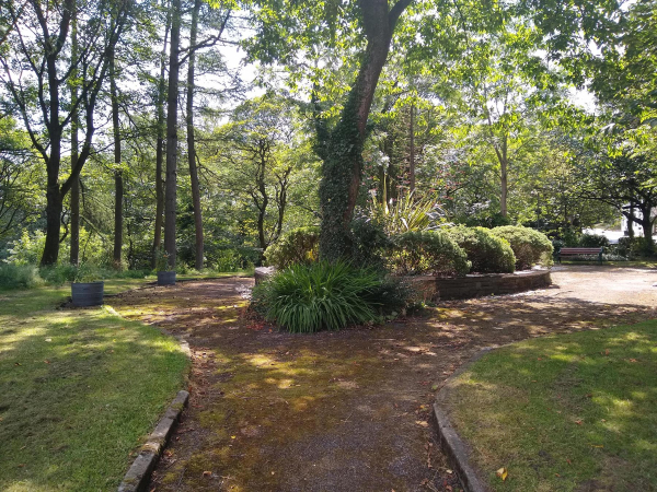 RHS garden project Kay Brow and  Bolton St 
17-Buildings and the Urban Environment-05-Street Scenes-031 Bolton Street
Keywords: 2019