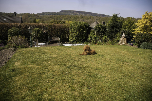  Looking out over Summerseat ? Taken from the garden in Hargate Close Summerseat in April.
17-Buildings and the Urban Environment-05-Street Scenes-028-Summerseat area
Keywords: 2019