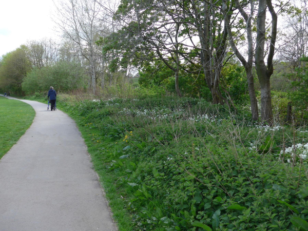 Nuttall Park, Refreshments & Gardens
14-Leisure-01-Parks and Gardens-001-Nuttall Park General
Keywords: 2019