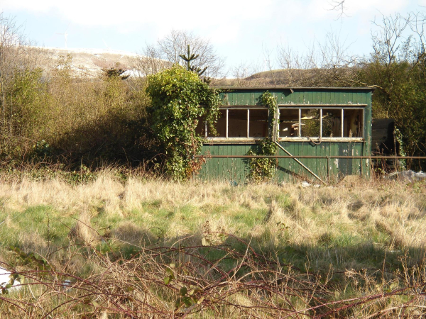 Run down Bowling Green by the Civic Hall, used to be Grants 
07-Government and Politics-02-Government and Public Buildings-001-Civic Hall
Keywords: 2020