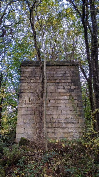 Nuttall Chimney before trees were taken down 
17-Buildings and the Urban Environment-05-Street Scenes-019-Nuttall area
Keywords: 2020