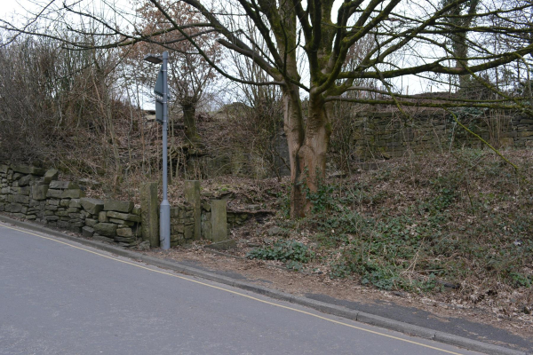 Carr Street
17-Buildings and the Urban Environment-05-Street Scenes-006-Carr Street and Tanners area
Keywords: 2021