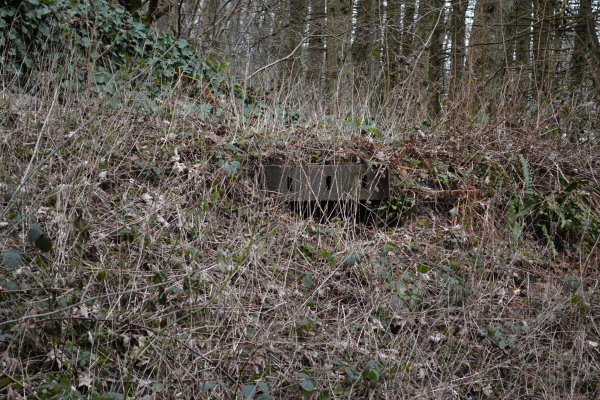 Carr Street
17-Buildings and the Urban Environment-05-Street Scenes-006-Carr Street and Tanners area
Keywords: 2021