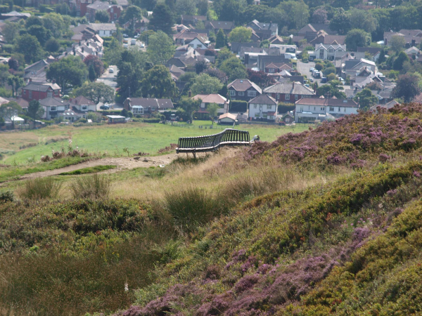 Mellenium Bench Holcombe Hill  
18-Agriculture and the Natural Environment-03-Topography and Landscapes-001-Holcombe Hill
Keywords: 2021