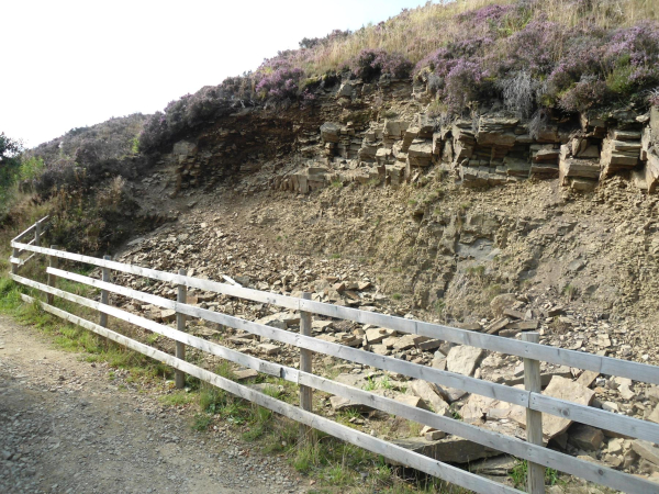 Corrosion on side of Hill  
18-Agriculture and the Natural Environment-03-Topography and Landscapes-001-Holcombe Hill
Keywords: 2021