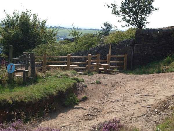Stile top of Hill  
18-Agriculture and the Natural Environment-03-Topography and Landscapes-001-Holcombe Hill
Keywords: 2021
