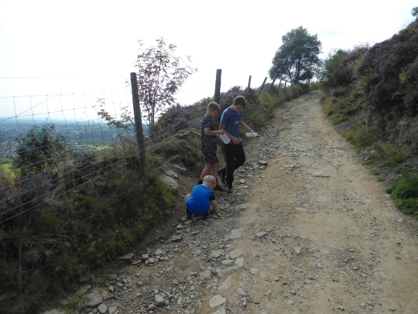 Path leading down side of Holcombe Hill  
18-Agriculture and the Natural Environment-03-Topography and Landscapes-001-Holcombe Hill
Keywords: 2021