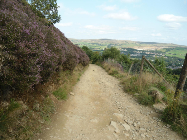 Path leading down side of Holcombe Hill  
18-Agriculture and the Natural Environment-03-Topography and Landscapes-001-Holcombe Hill
Keywords: 2021