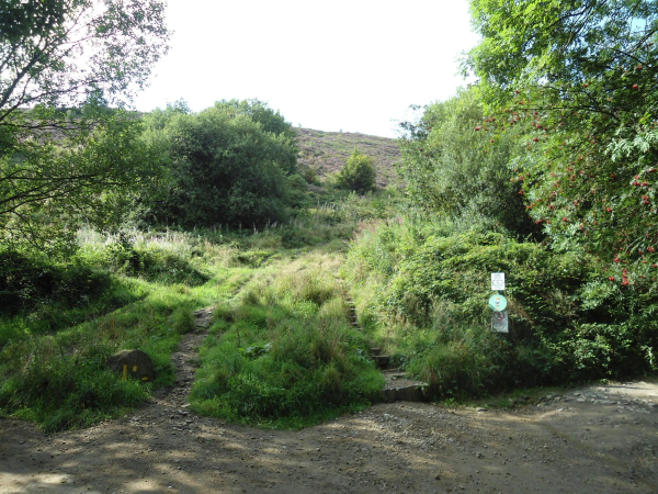 Marker Stone showing way to the Tower  
18-Agriculture and the Natural Environment-03-Topography and Landscapes-001-Holcombe Hill
Keywords: 2021