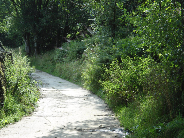 Path from Bottom Holcombe Hill leading to Cross Street  
18-Agriculture and the Natural Environment-03-Topography and Landscapes-001-Holcombe Hill
Keywords: 2021