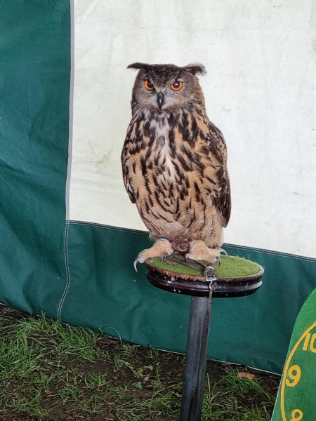 Queen Elizabeth II Platinum Jubilee Celebrations in Nuttall Park organised by Friends of Nuttall Park and Ramsbottom Rotary 
14-Leisure-01-Parks and Gardens-001-Nuttall Park General
Keywords: 2022