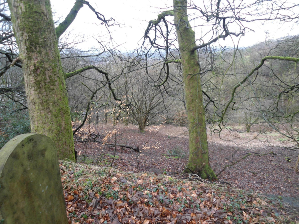 Tag Wood from Holcombe Church to Dundee Lane 
17-Buildings and the Urban Environment-05-Street Scenes-010-Dundee Lane
Keywords: 2023