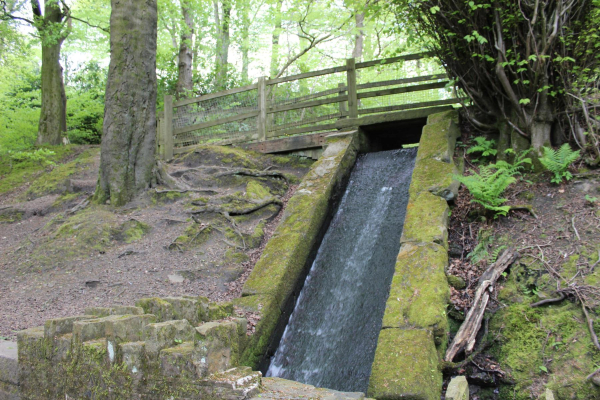 Water Fall Nuttall Park
14-Leisure-01-Parks and Gardens-001-Nuttall Park General
Keywords: 2023