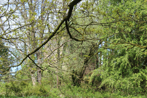 Chimney just off Nuttall Road 
17-Buildings and the Urban Environment-05-Street Scenes-019-Nuttall area
Keywords: 2023
