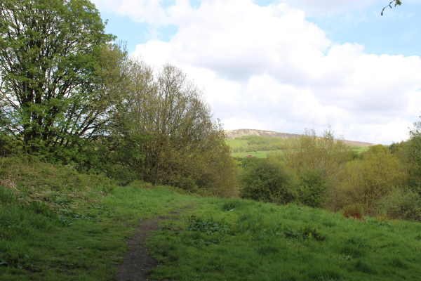 Looking to Quarry from Nuttall Road 
17-Buildings and the Urban Environment-05-Street Scenes-019-Nuttall area
Keywords: 2023