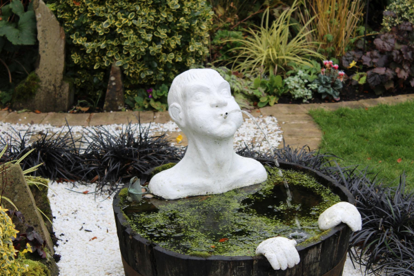 Stubbins Garden for Remembrance 
17-Buildings and the Urban Environment-05-Street Scenes-027-Stubbins Lane and Stubbins area
Keywords: 2023