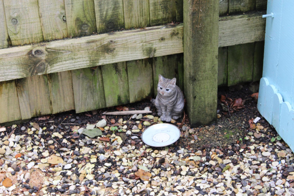 Stubbins Garden for Remembrance 
17-Buildings and the Urban Environment-05-Street Scenes-027-Stubbins Lane and Stubbins area
Keywords: 2023