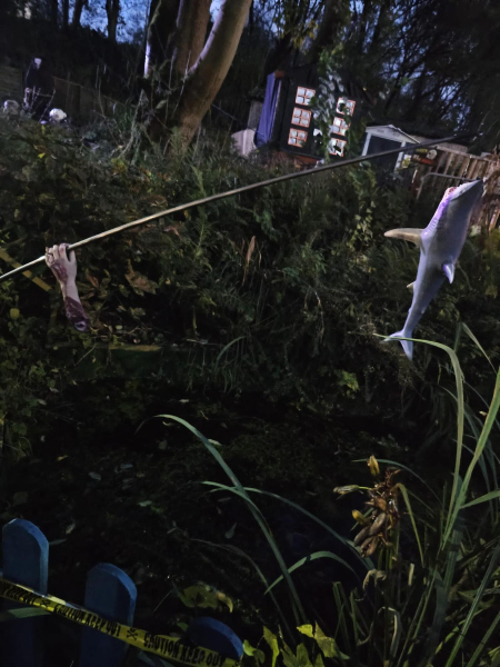 Halloween River Garden Stubbins 
17-Buildings and the Urban Environment-05-Street Scenes-027-Stubbins Lane and Stubbins area
Keywords: 2023