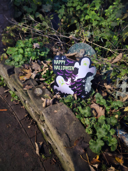 Halloween River Garden Stubbins 
17-Buildings and the Urban Environment-05-Street Scenes-027-Stubbins Lane and Stubbins area
Keywords: 2023