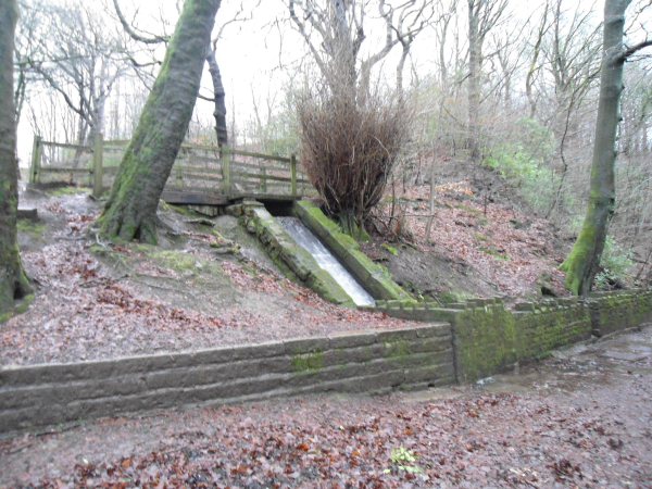 Water Fall in Nuttall Park in full flow
14-Leisure-01-Parks and Gardens-001-Nuttall Park General
Keywords: 2023