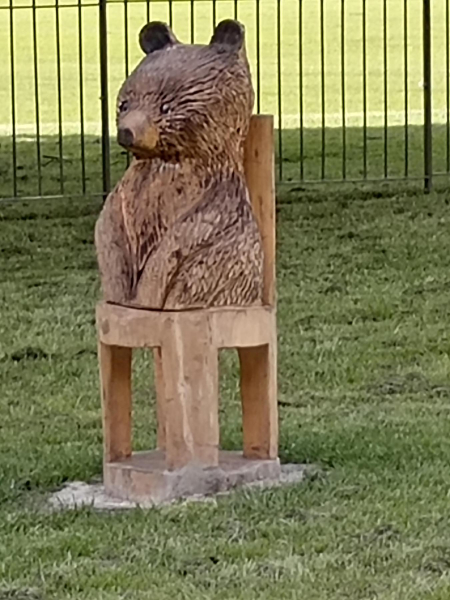 Bear Carving Nuttall Park
14-Leisure-01-Parks and Gardens-001-Nuttall Park General
Keywords: 2024