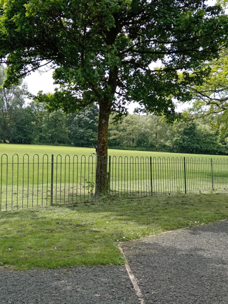 Nuttall Park
14-Leisure-01-Parks and Gardens-001-Nuttall Park General
Keywords: 2024