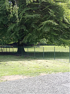 Filename=RHSDC21-COMP-HPC2024GE-069.JPG
Filesize=586KiB
Dimensions=1350x1800
Date added=Feb 07, 2026 RHSDC21-COMP-HPC2024GE-069.JPG