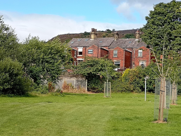 Back of Houses Bolton Rd West from Top Park
17 Building and the Urban Environment -6-Significant Buildings-000-General
Keywords: 2025