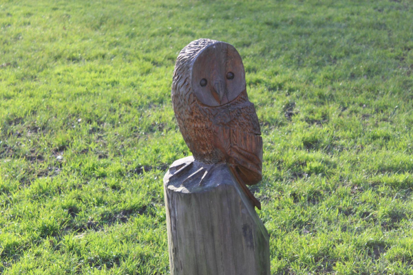 Owl sculpture Nuttall Park
14-Leisure-01-Parks and Gardens-001-Nuttall Park General
Keywords: 2025