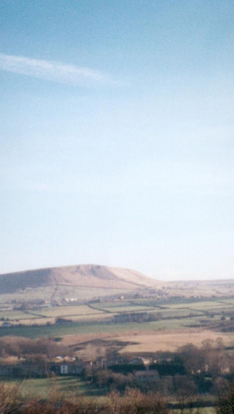 View from Porritt's wet house 
to be catalogued
Keywords: 2000