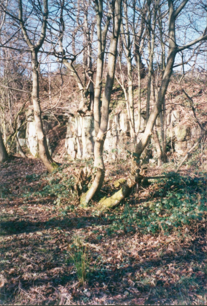 Road near Porritt's wet house 
to be catalogued
Keywords: 2000