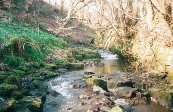 Woodhey stream - secret haunt 
17-Buildings and the Urban Environment-05-Street Scenes-013-Holcombe Brook Area
Keywords: 2000