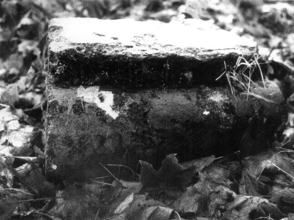 Tottington Mill- photos mainly of remains today 1995 9 photos, See also 0716
02 - Industry - 01 - Mills
Keywords: Bury-Archive