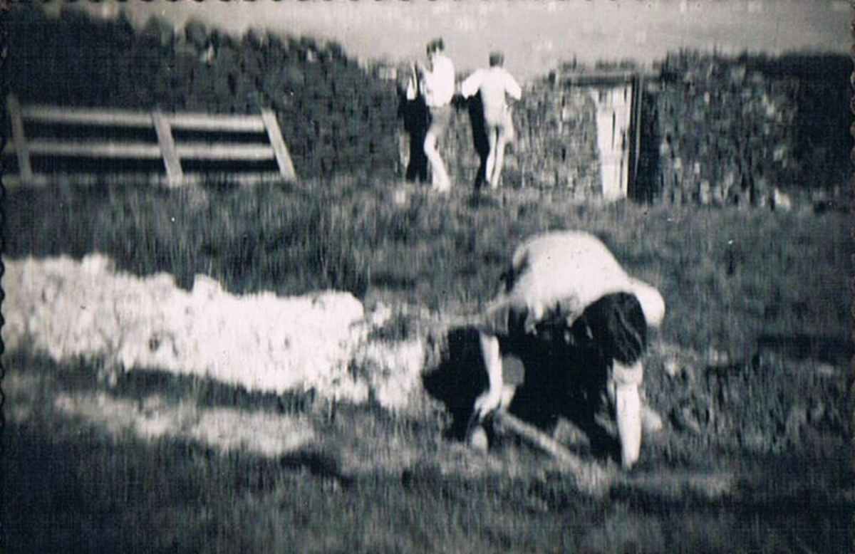  Scout Camp Holcombe Moor, Whit  Week 1939
14-Leisure-02-Sport and Games-043-Scout Camp 1939
Keywords: 1939