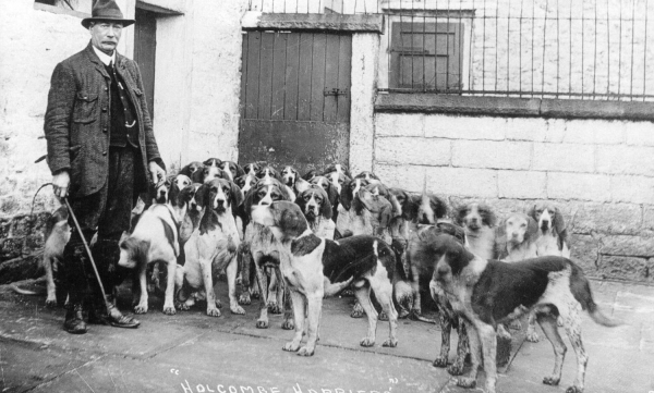 Sam Jackson with hounds Holcombe kennels 1935 
14 - Leisure - 03 - Tourism
Keywords: Bury-Archive