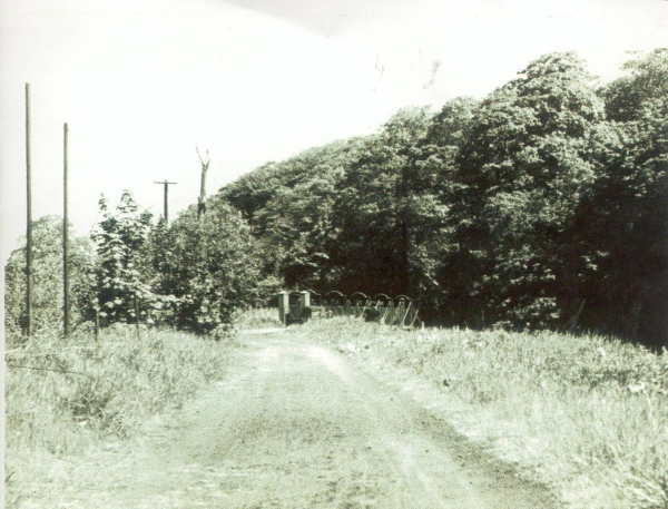  Probably near Nuttall  Bridge & Jacobs Ladder c.1966 
16 - Transport - 01 - Car and Roads
Keywords: Bury-Archive