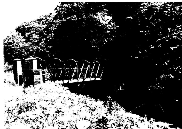  Probably near Nuttall  Bridge & Jacobs Ladder c.1966 
16 - Transport - 01 - Car and Roads
Keywords: Bury-Archive