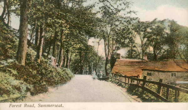 Forest Road, Summerseat.  Prob. first decade c20 .. posted Summerseat 3/5/7?. Can't see date, but in a collection, of cards from around 1906. 
17 - Buildings and the Urban Environment - 05 - Street Scenes
Keywords: Bury-Archive